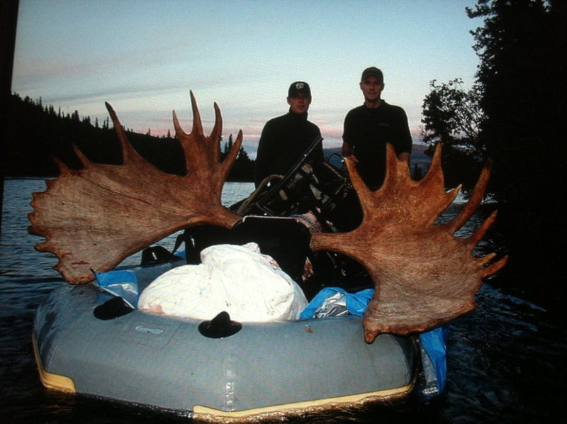 Large Moose Horns Kenai Alaska