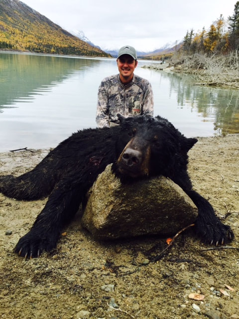 Unguided Black Bear hunting in Alaska
