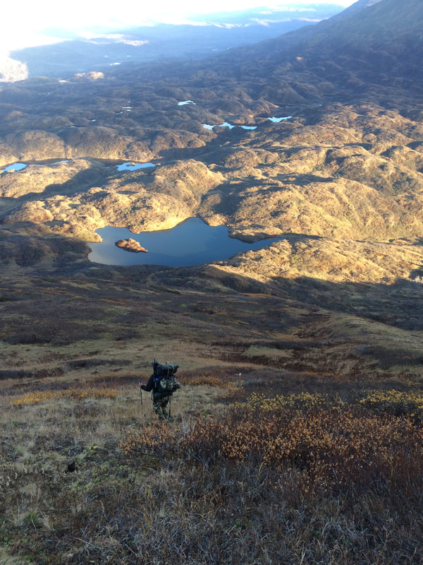 DIY hunting trips in Alaska