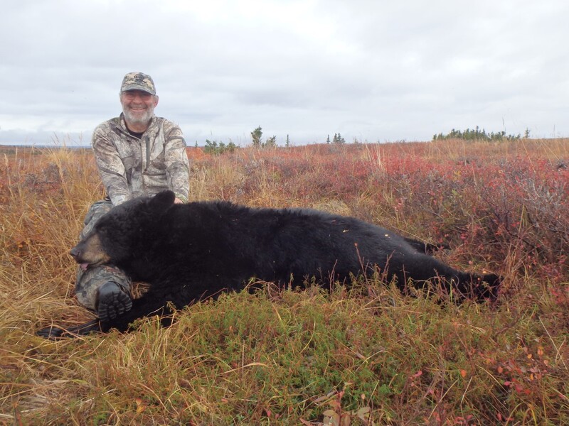 Unguided Black bear hunting Alaska