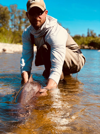 Catch and release fishing Nushagak River Alaska