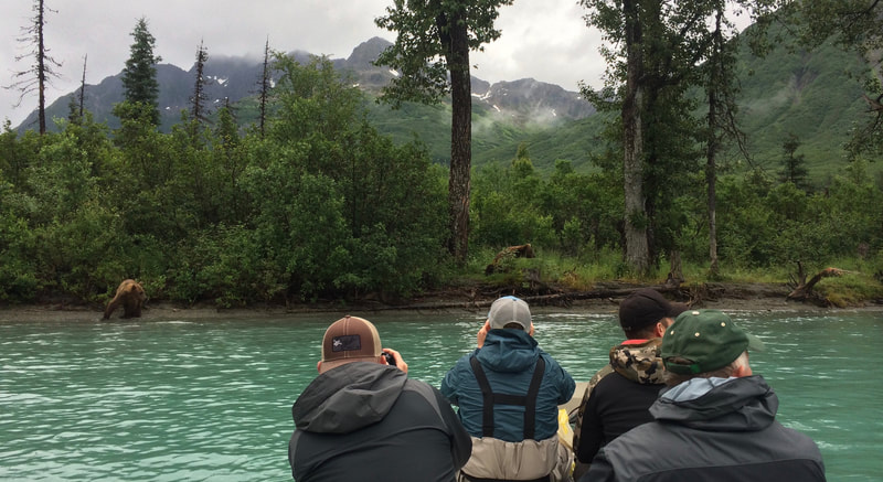 Bear viewing trips Alaska