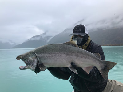 Salmon catch Crescent Lake Alaska