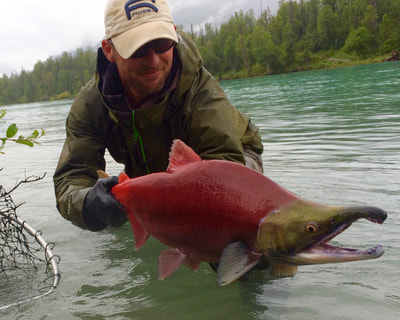 Catch fish at Crescent Lake in Alaska