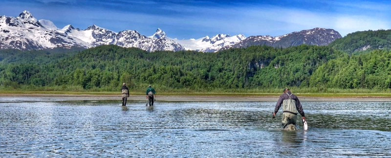 Salmon Fishing Kenai Alaska