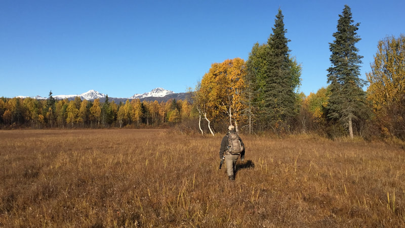 Moose Hunting Self Guided Alaska