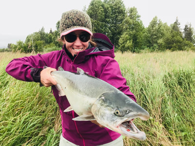 Catch salmon in Alaska