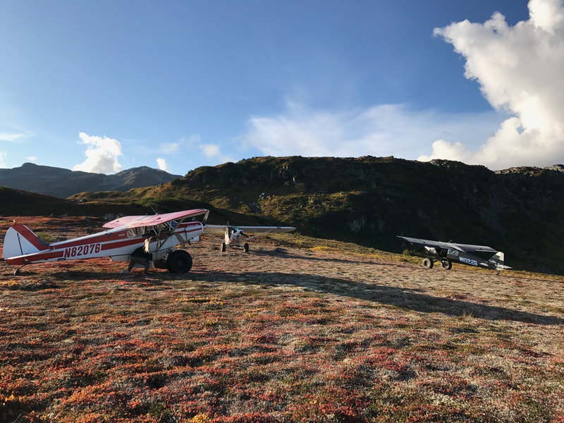 Float plane rides in Alaska